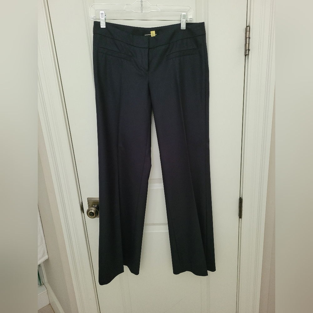 Express Wide Leg (low rise) Navy Pants